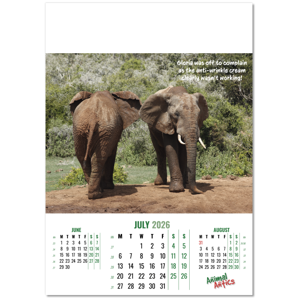 Animal Antics Wall Calendar