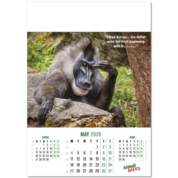 Animal Antics Wall Calendar