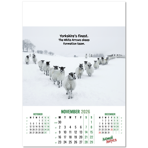 Animal Antics Wall Calendar