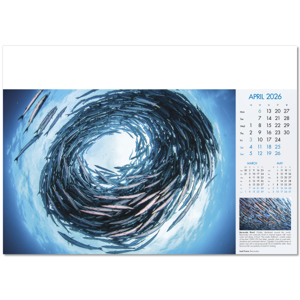 Blue Planet Wall Calendar