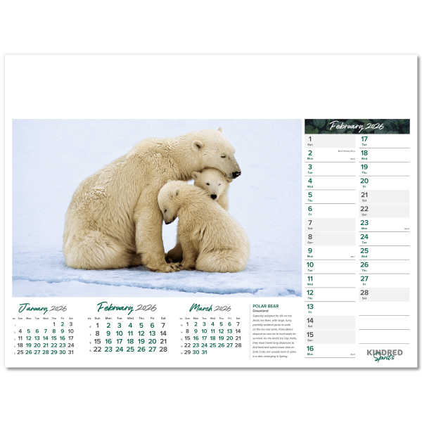 Kindred Spirits Wall Calendar