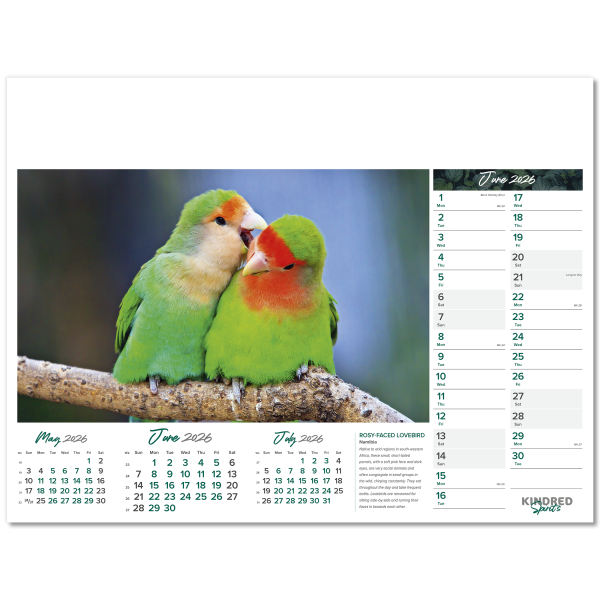 Kindred Spirits Wall Calendar