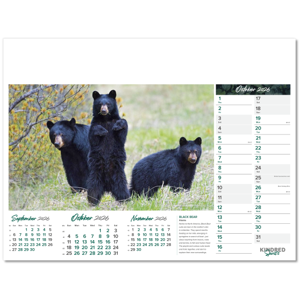 Kindred Spirits Wall Calendar