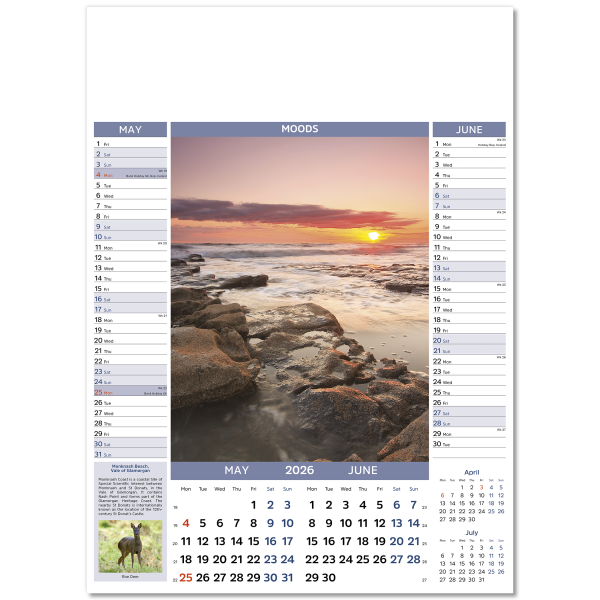 Moods Wall Calendar