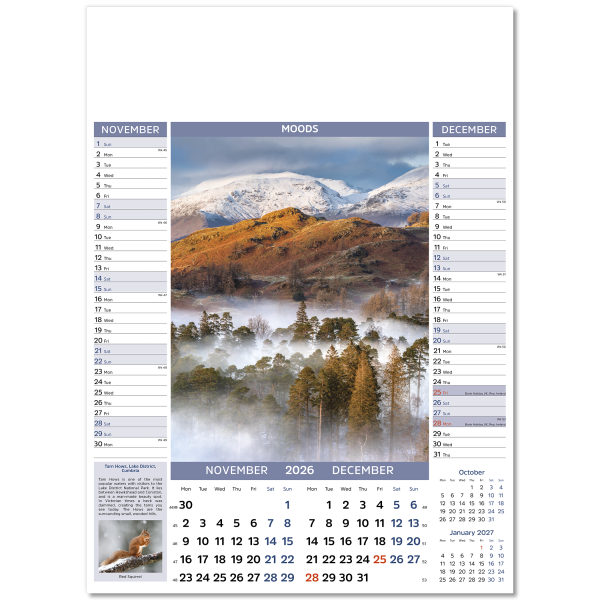 Moods Wall Calendar