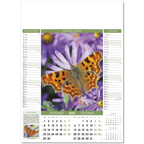 Nature Notes Wall Calendar