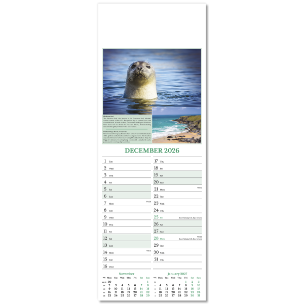 Nature's Glory Slim Wall Calendar