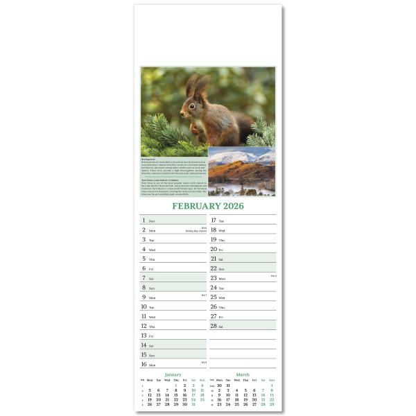 Nature's Glory Slim Wall Calendar