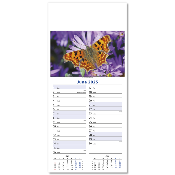 Wildlife Slim Wall Calendar