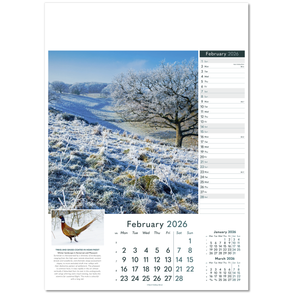 Wonders of Nature Wall Calendar