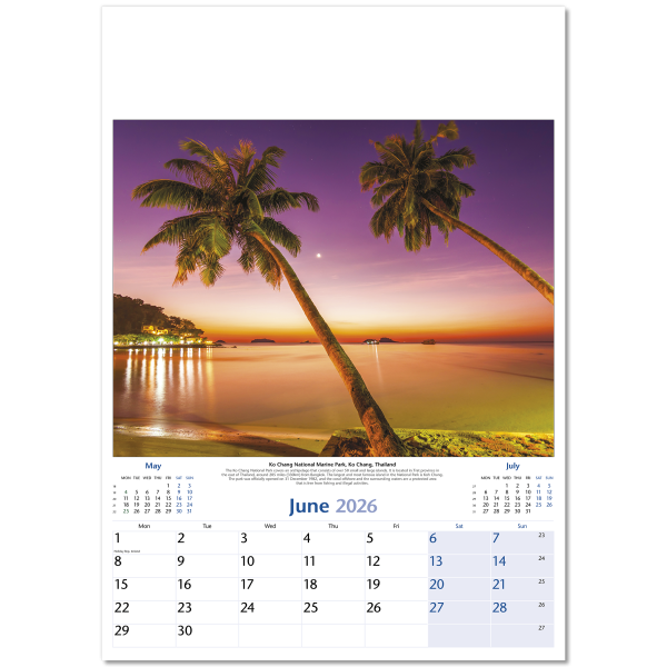 World by Night Wall Calendar