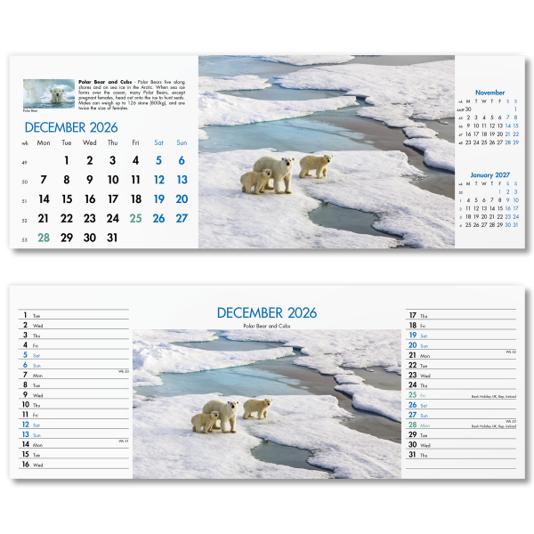 Blue Planet Desk Calendar