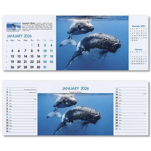 Blue Planet Desk Calendar