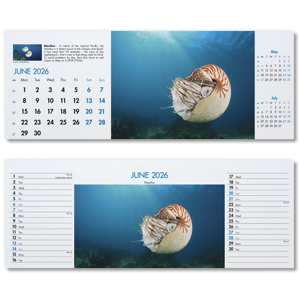 Blue Planet Desk Calendar