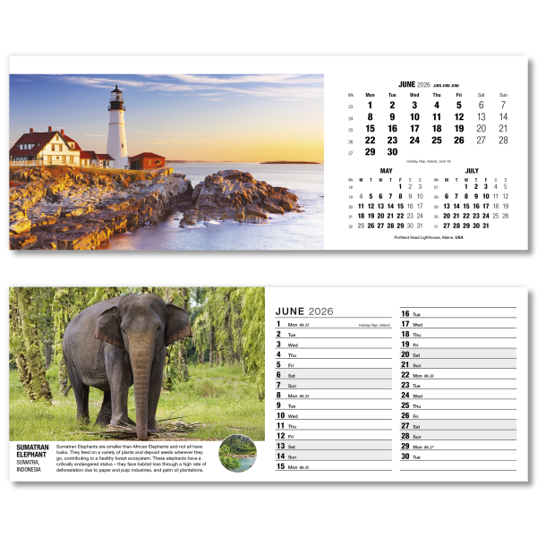 Our World in Trust Desk Calendar