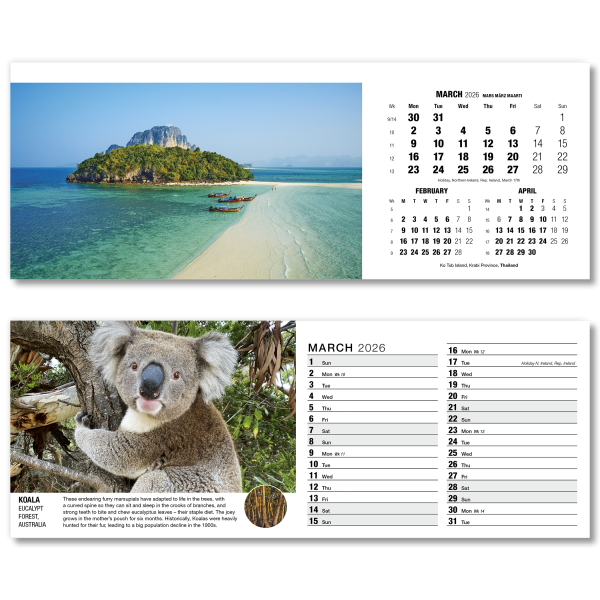 Our World in Trust Desk Calendar