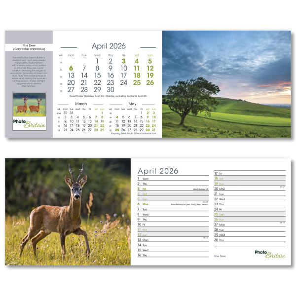 Photo Britain Desk Calendar