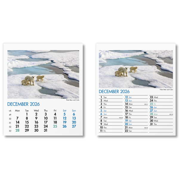 Blue Planet Mini Desk Calendar