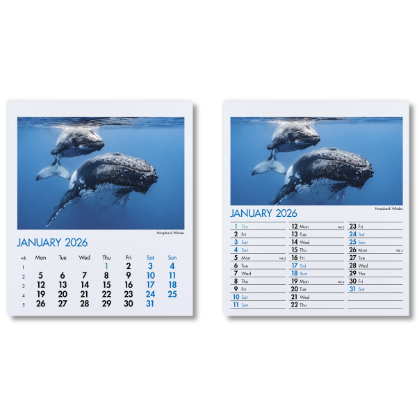 Blue Planet Mini Desk Calendar