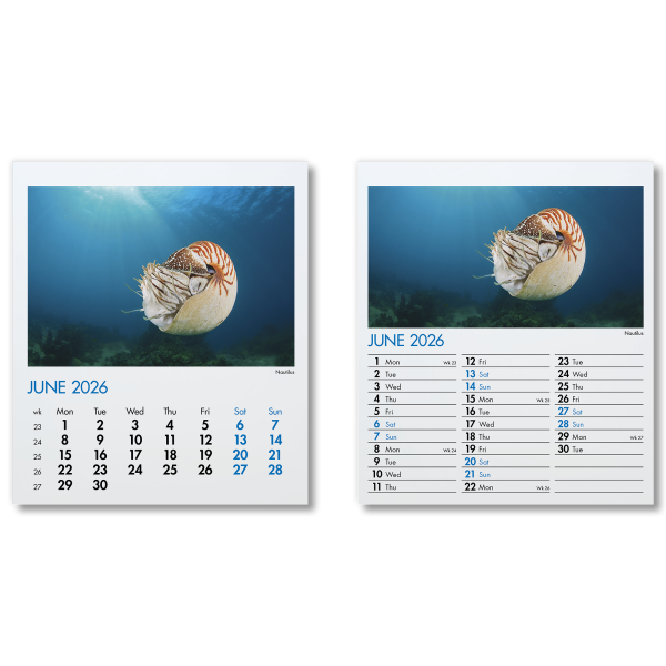 Blue Planet Mini Desk Calendar