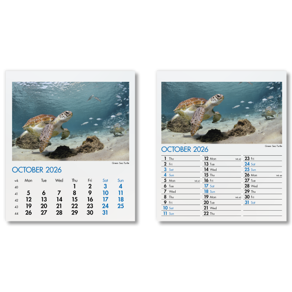 Blue Planet Mini Desk Calendar