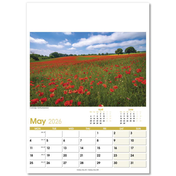 Aspects Wall Calendar - 13 Leaf