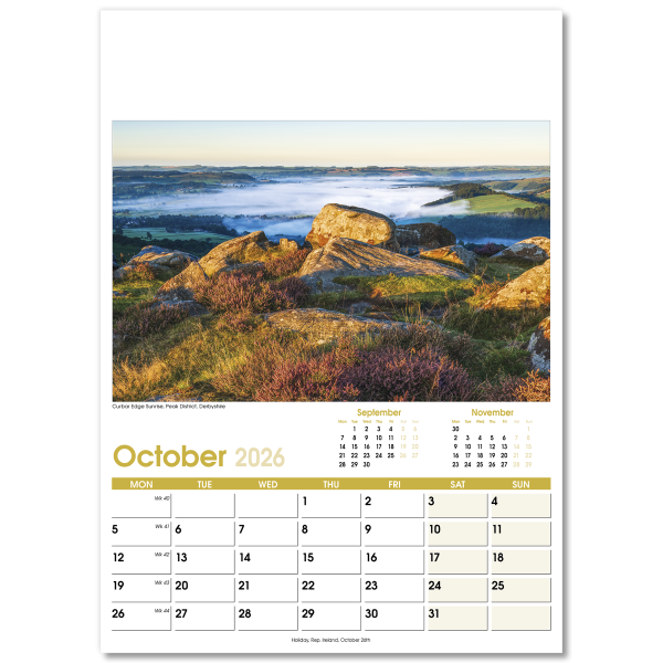 Aspects Wall Calendar - 13 Leaf