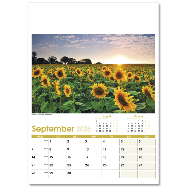 Aspects Wall Calendar - 13 Leaf