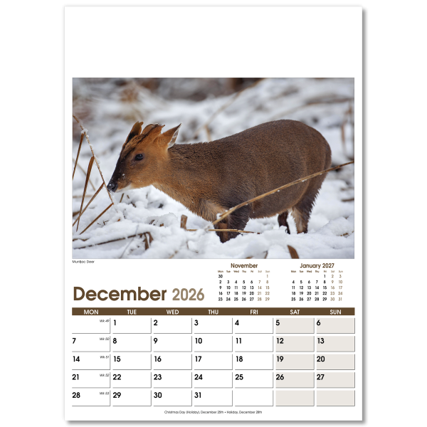 Rural Life Wall Calendar - 13 Leaf