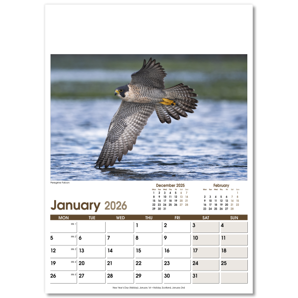 Rural Life Wall Calendar - 13 Leaf