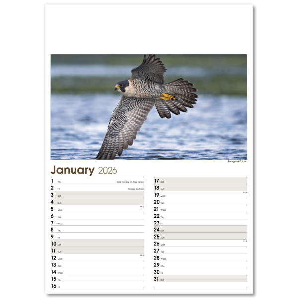 Rural Life Wall Calendar - 13 Leaf