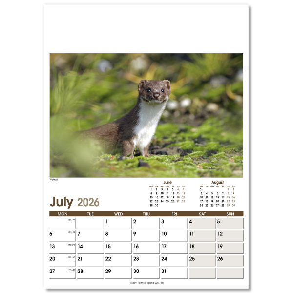 Rural Life Wall Calendar - 13 Leaf