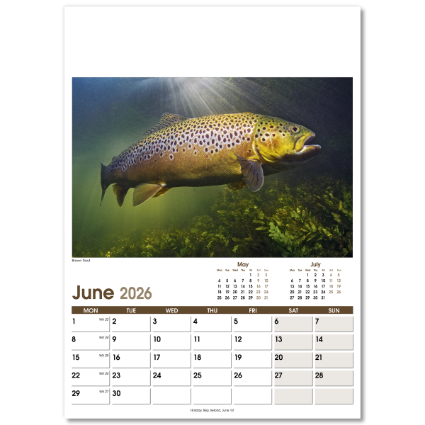 Rural Life Wall Calendar - 13 Leaf