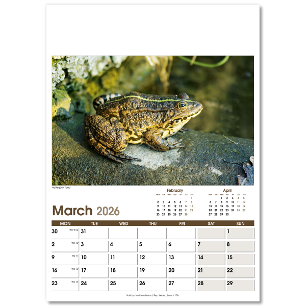 Rural Life Wall Calendar - 13 Leaf