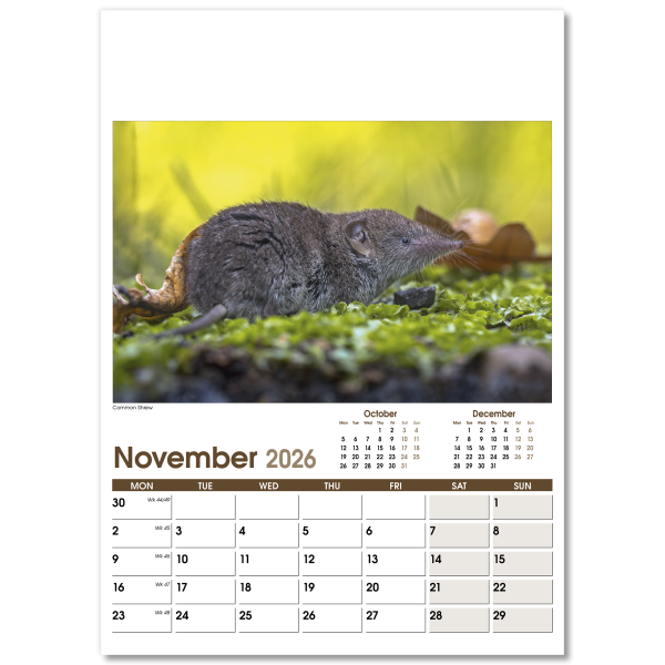 Rural Life Wall Calendar - 13 Leaf