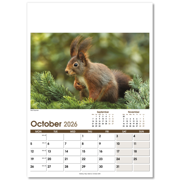 Rural Life Wall Calendar - 13 Leaf