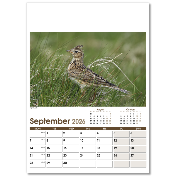 Rural Life Wall Calendar - 13 Leaf