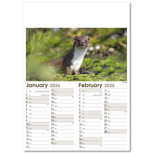 Rural Life Wall Calendar - 7 Leaf