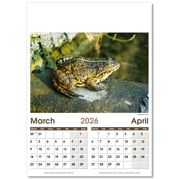 Rural Life Wall Calendar - 7 Leaf