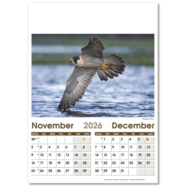 Rural Life Wall Calendar - 7 Leaf