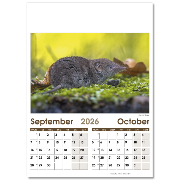 Rural Life Wall Calendar - 7 Leaf